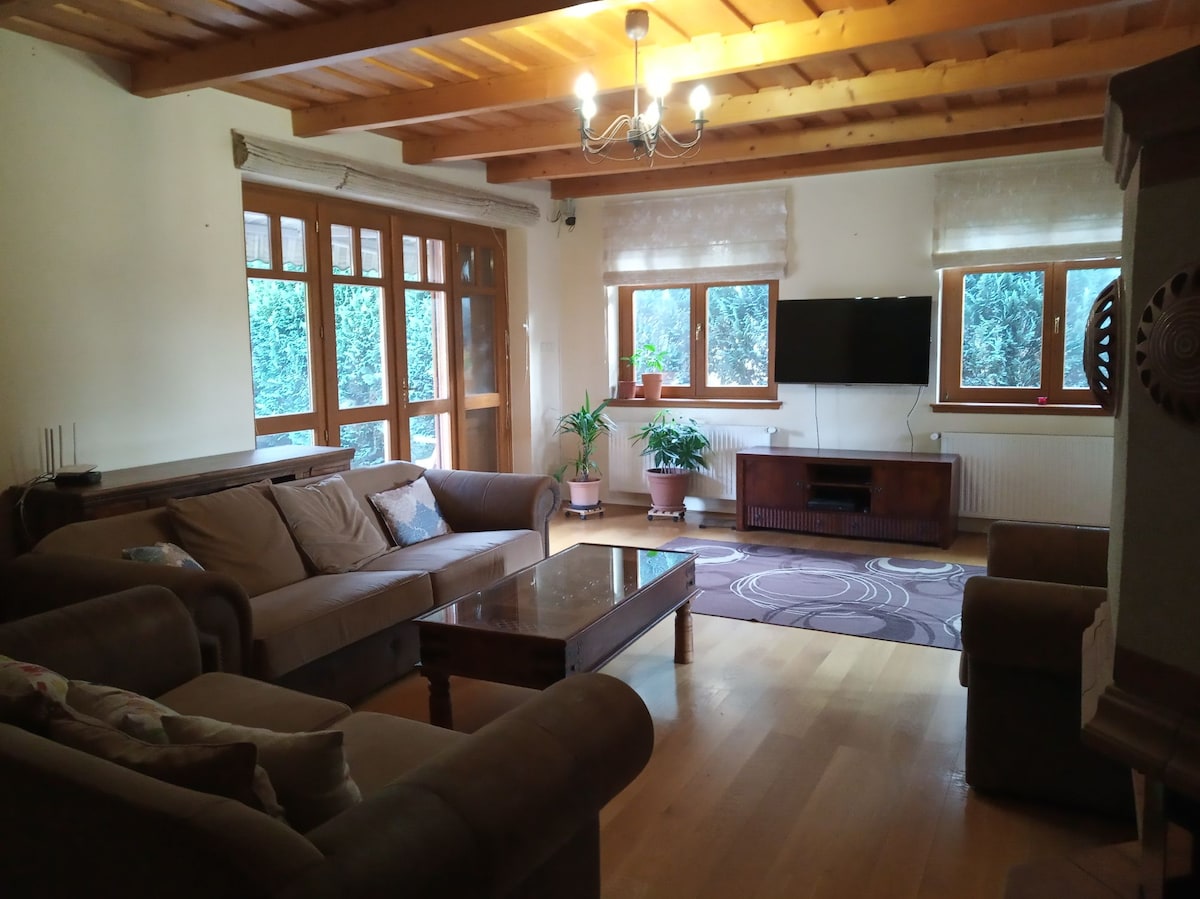 A spacious living area is illuminated by a chandelier and natural light from multiple windows. Comfortable seating is provided by a large sofa and armchairs surrounding a wooden coffee table. Potted plants add greenery, while a television is mounted on the wall opposite the seating.