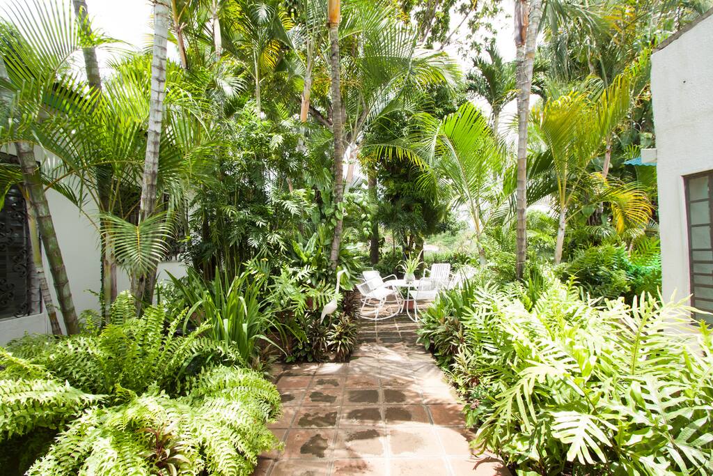 Jardín (Garden)