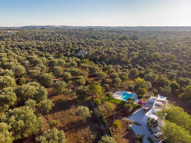 Villa Cardoncello gallery image 2