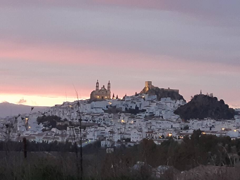 Evening view of the old town, cathedral and castle from the edge of town