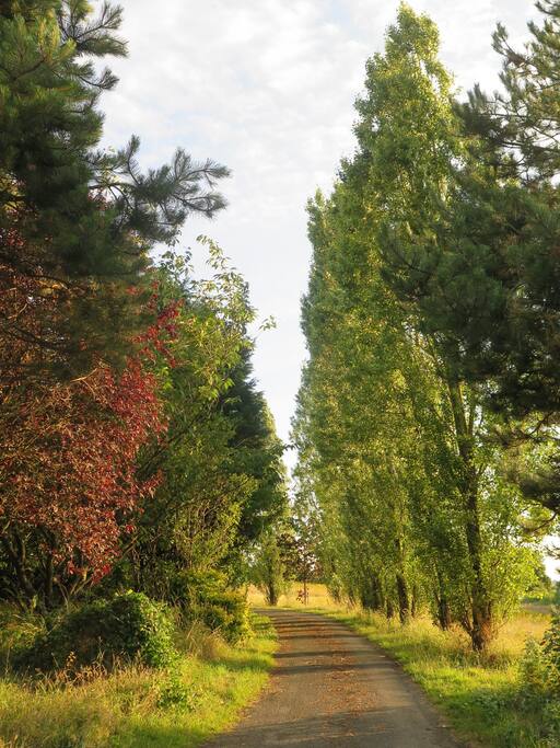 Chemin d'accès à La Censie