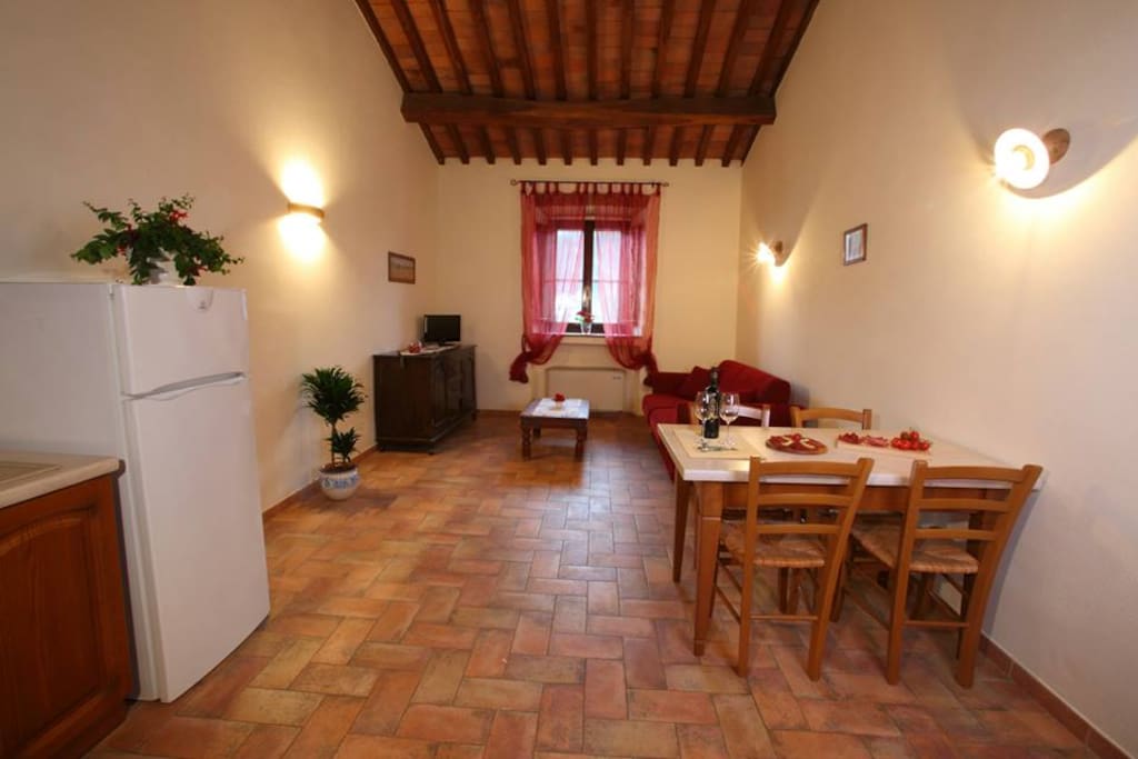 Ampio soggiorno con tavolo, sedie, cucina attrezzata e divano letto.