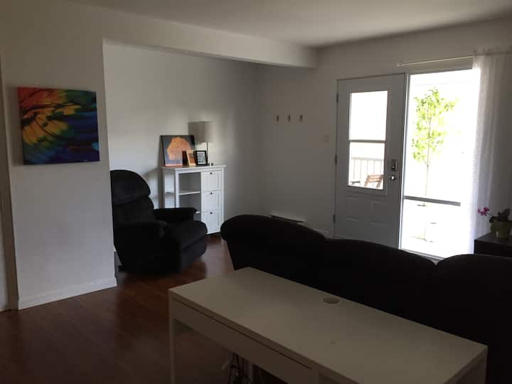 Un Bel Appartement, Centre-ville De Victoriaville - Victoriaville