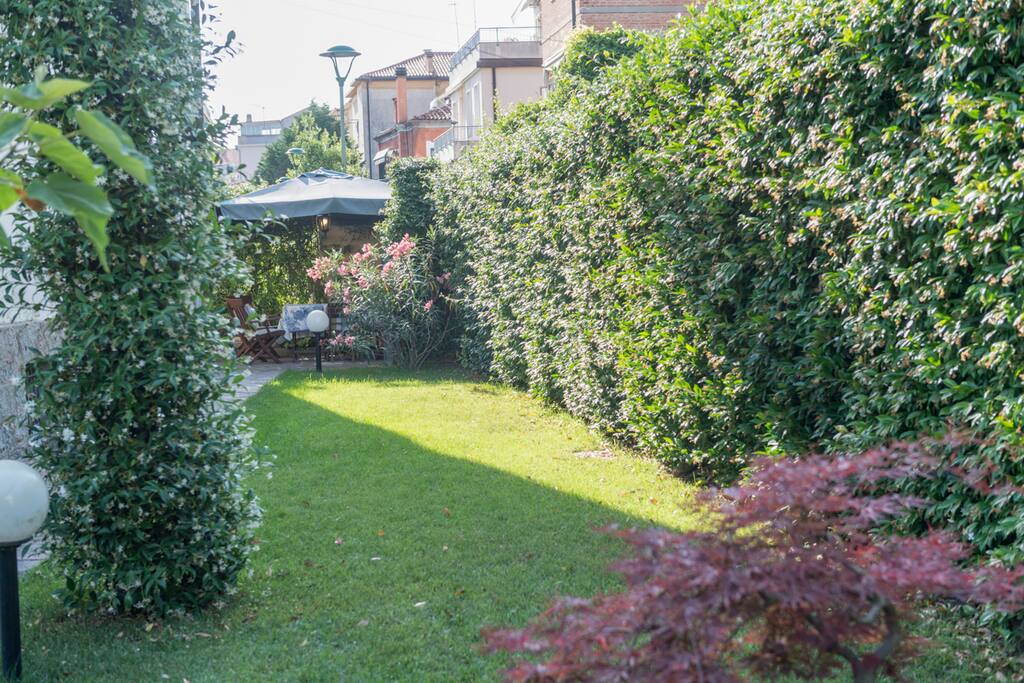 a corner of the garden