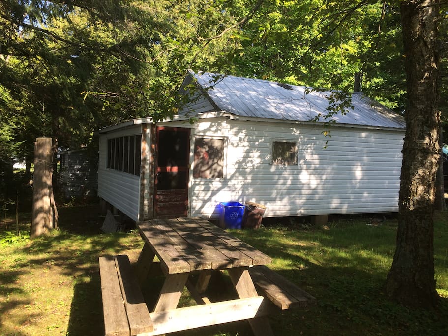 Cottage 1 2Bedroom on Big Gull Lake Landsbyhus til leie i Arden