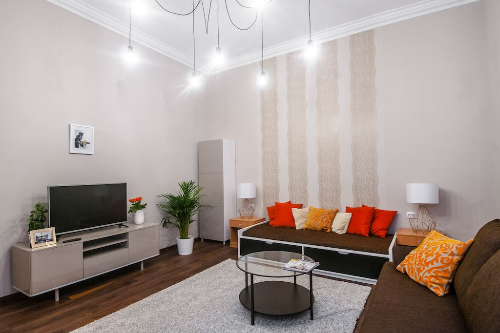 The living room is spacious. The sofa is transformable into a double bed.