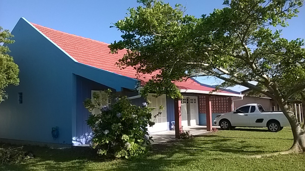 A bright blue house with a red roof stands surrounded by lush greenery. A flowering bush adds color to the landscaping, while a white vehicle is parked in the driveway. Clear skies enhance the inviting outdoor environment.