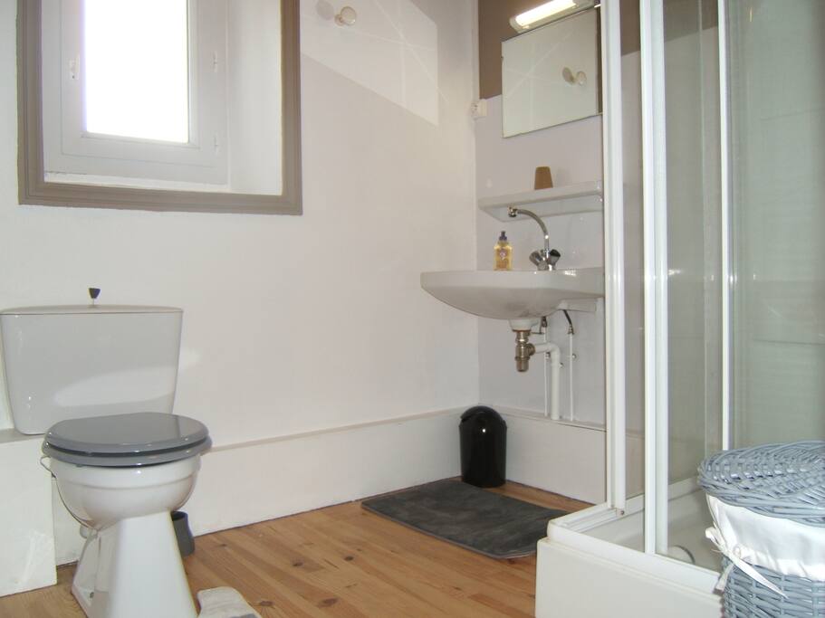 sale de bain avec cabine de douche - WC
