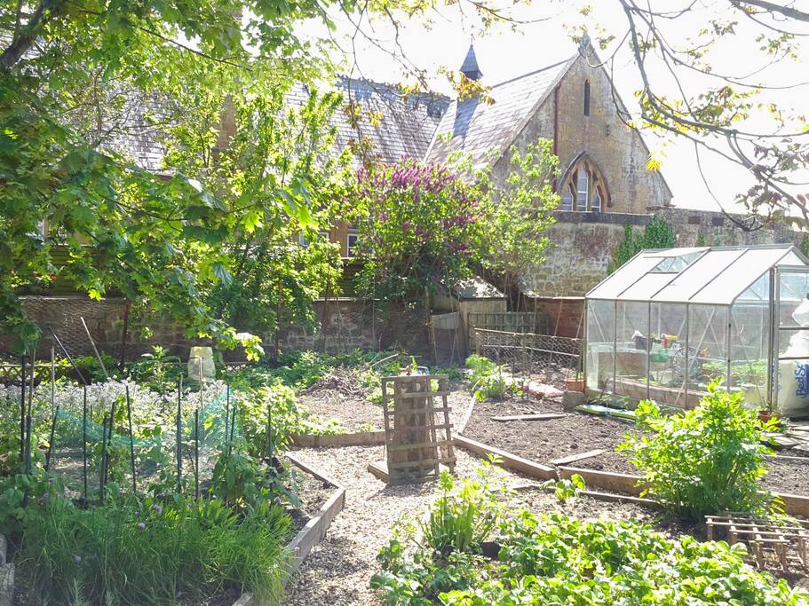 Fruit Garden