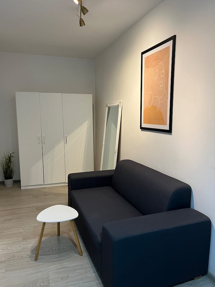 Ultra-central Cozy Studio • Quiet Pedestrian Lane - Cluj-Napoca