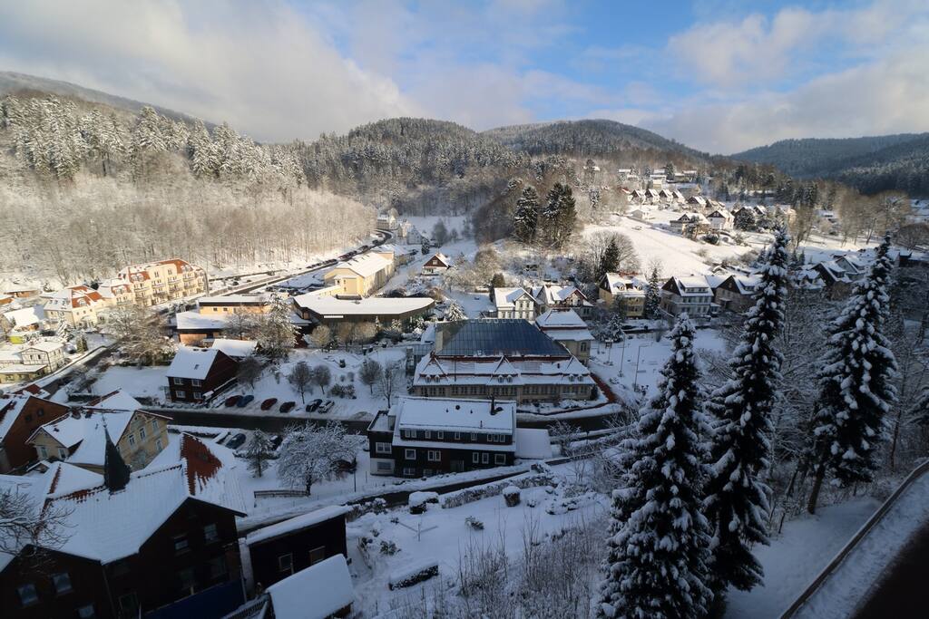 Ausblick von Ihrer Terrasse: Richtung Ausfahrt Harzhochstrasse mit Atrium, Gesundheitszentrum/Touristinfo, Solehallenbad und natürlich "Erikas Haus in der Sonne"