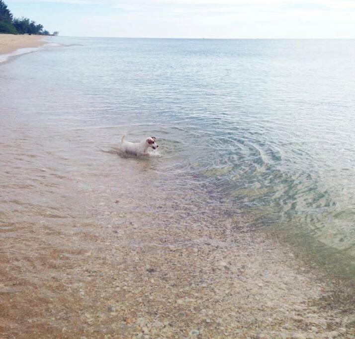 clear water
