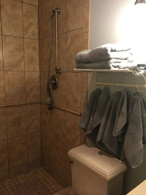 Accessible shower with hand-held