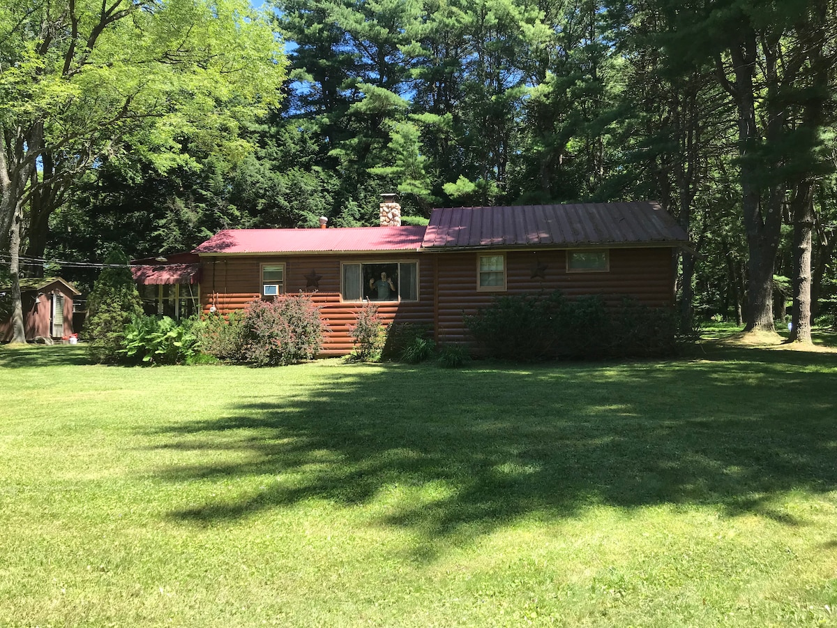 A rustic cabin is set amongst tall trees, featuring a red metal roof and wood-paneled exterior. The front yard is manicured, showcasing a lush green lawn and shrubs. Large windows offer views of the surrounding nature, inviting natural light into the space.