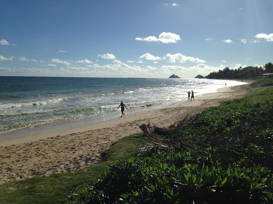Morning walk on Kailua Beach