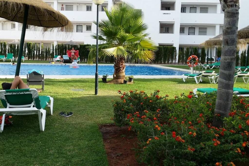 Garden and pool