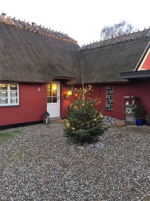 Indkørsel til huset