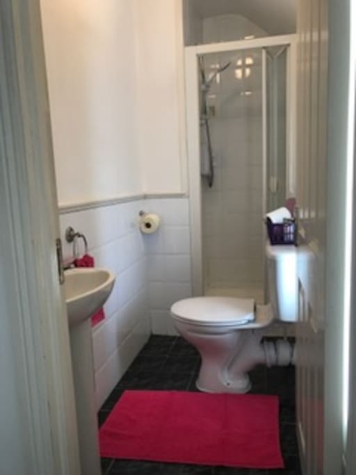 Shower Room & Toilet