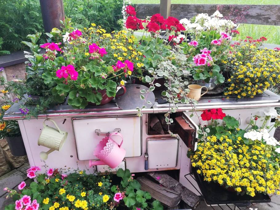 Blumenpracht Rest. Hausleitenstubn