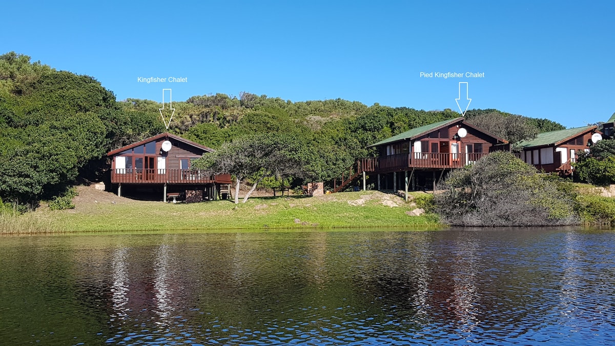 Two wooden chalets are positioned on elevated platforms amidst lush greenery, overlooking a calm river. Each chalet features a large balcony with railings. The clear blue sky complements the tranquil setting, enhancing the natural surroundings and highlighting the peaceful atmosphere.