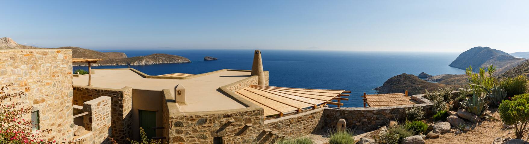 Daisies gallery image 4