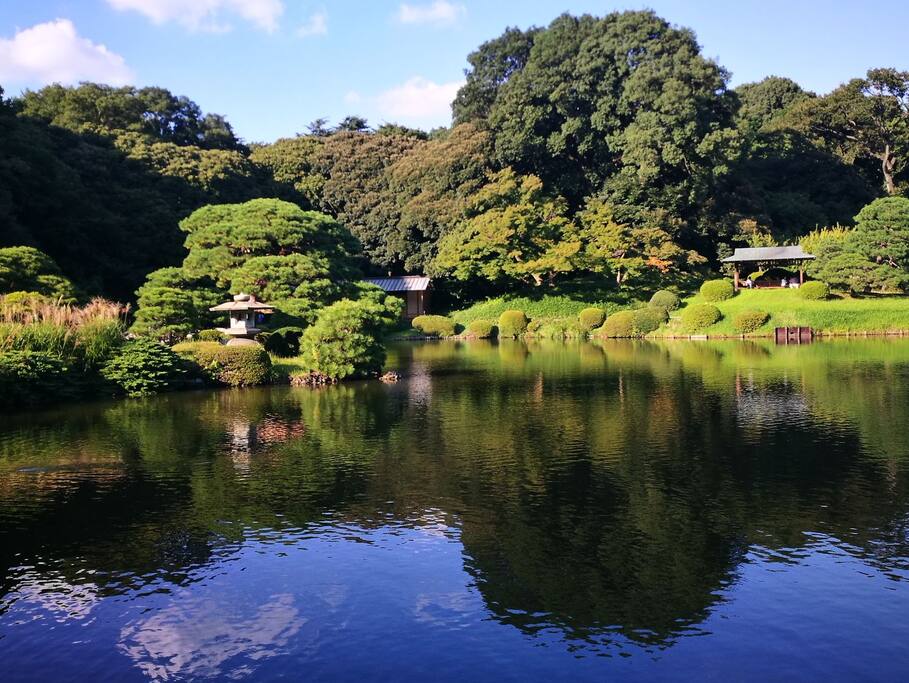 新宿之瞳 东京旅游攻略 尽在airbnb爱彼迎