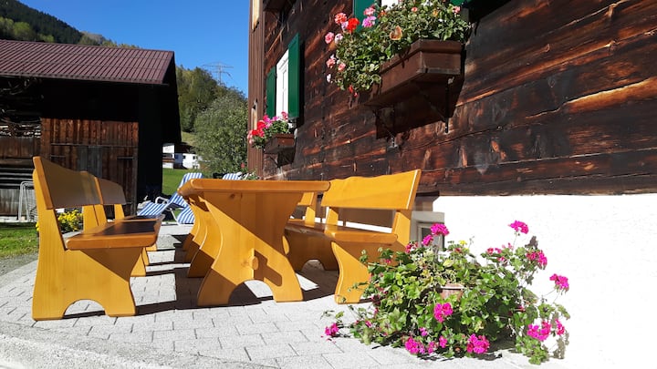 Bergfrieden vacation home in Montafon