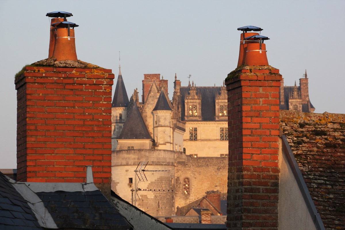 Chimneys with red brick detailing frame the view of a historic castle in the background. The castle's towers and windows are illuminated, creating a striking contrast against the soft morning light. Roof tiles of varying colors contribute to the layered appearance of the scene.