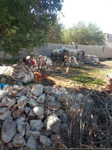 Airbnb Piste Km8 Ghazoua Ghazoua 44000 Vacation Rentals