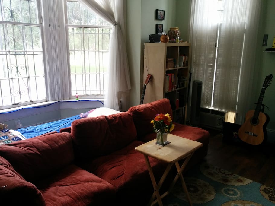 Single bed behind the couch