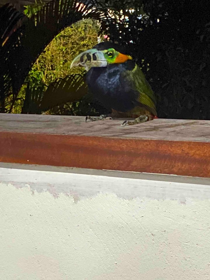 Tembelea kwenye roshani ya chumba kikuu 