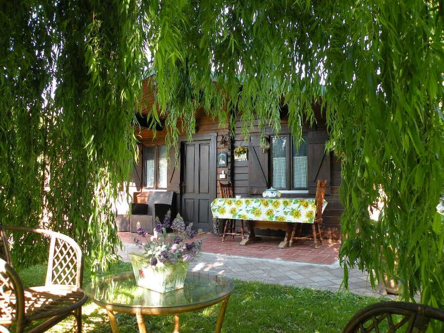 Salice di fronte allo Chalet