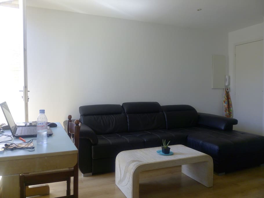 the salon