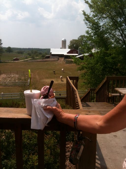 Eating ice cream at moomers a must