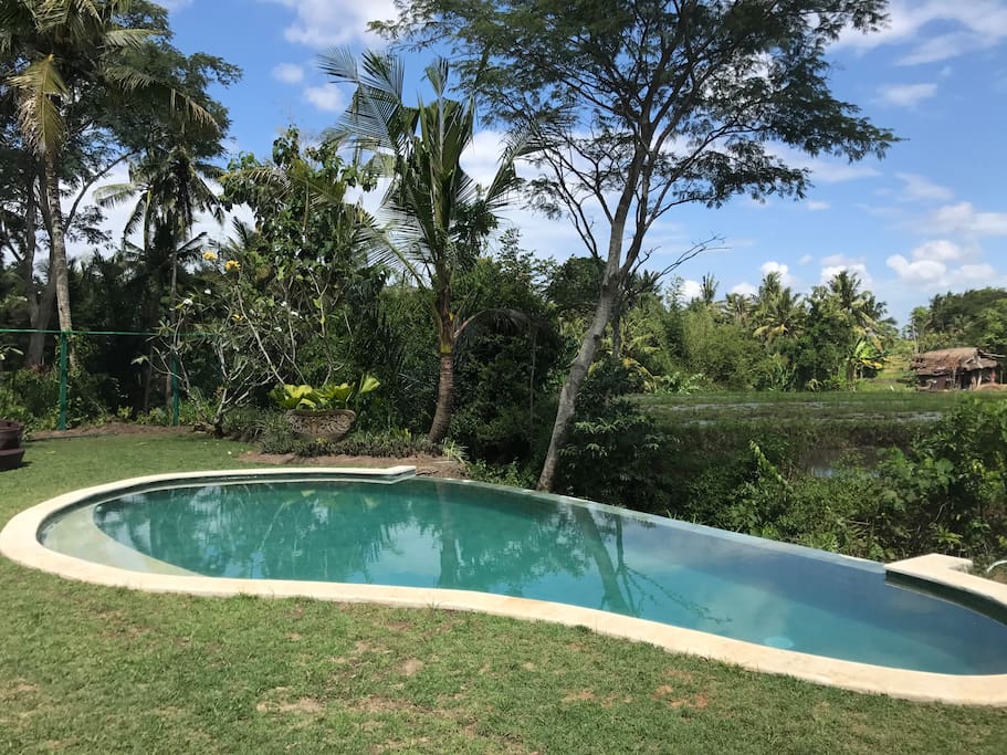 Beautiful private pool overlooking rice field.