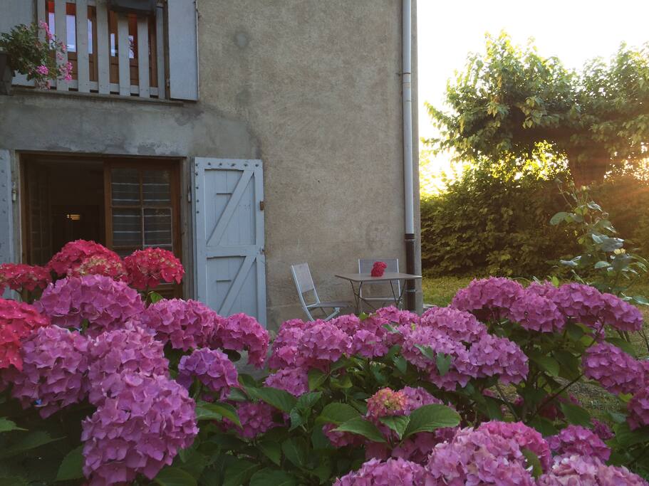 Entre de l'appartement (avec petite terrasse)