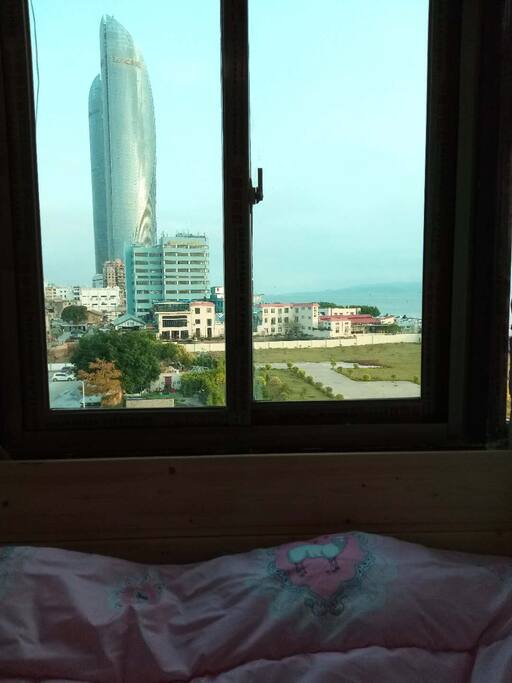 这是旅馆窗外南面的草坪和厦门地标建筑世茂双子塔