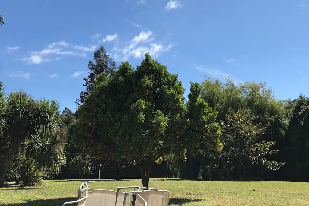 Jardín
