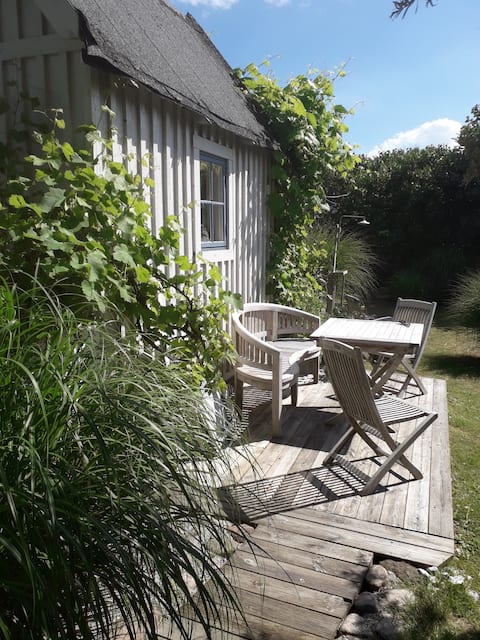 Popular Airbnb listing: "Sjöbod" Sea and Beach. in Helsingborg