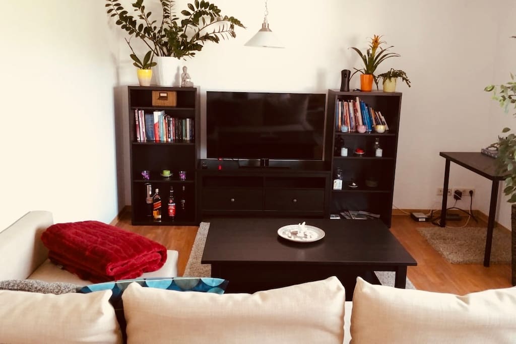 Wohnzimmer mit Schlafcouch und Tv