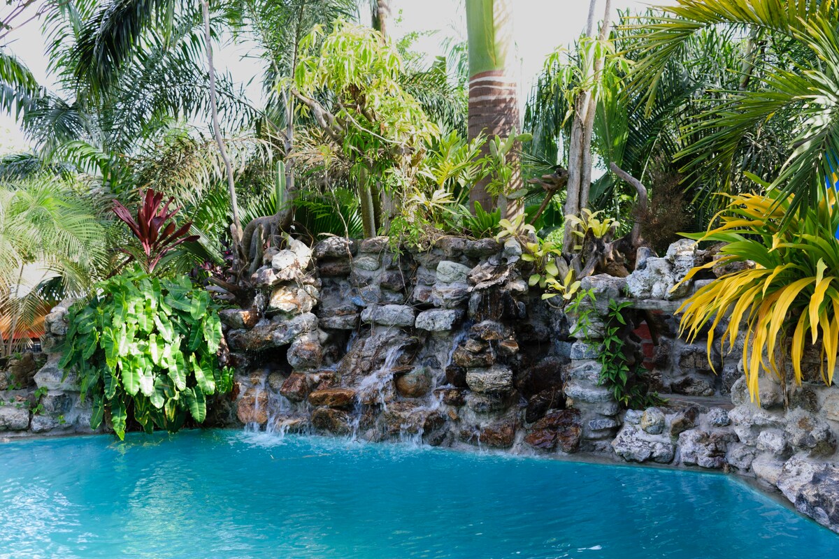 A refreshing pool area is surrounded by lush tropical plants, including vibrant green foliage and colorful flowers. A stone waterfall gently cascades into the clear water, creating a serene atmosphere in this outdoor space.