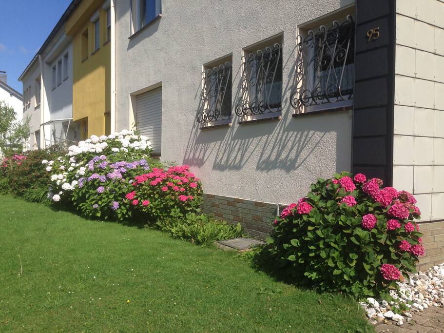 Frontansicht des Hauses