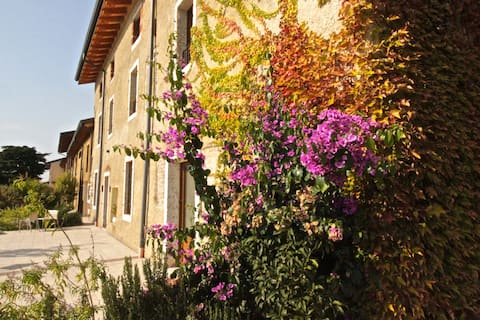 Lovely apartment in a Ancient Farmhouse - Gigia