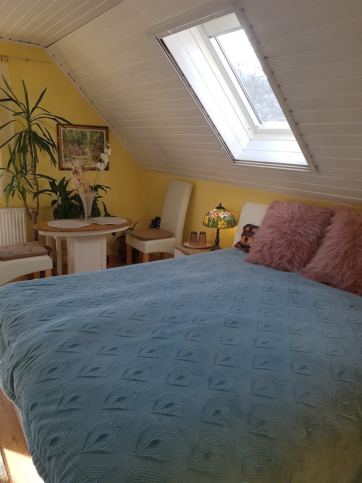 Budapest Vacation Rentals House and Apartment Rentals Airbnb