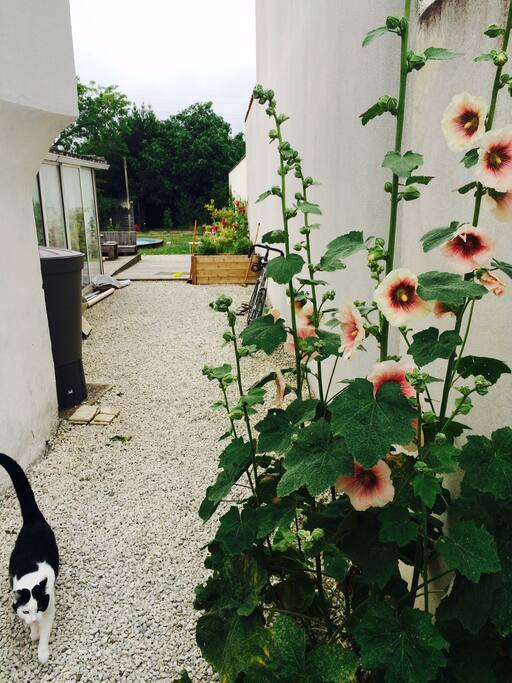 L'entrée par le jardin