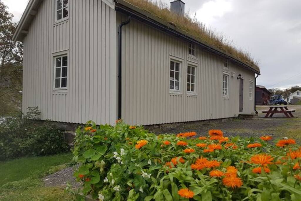 Ellahuset, bakside