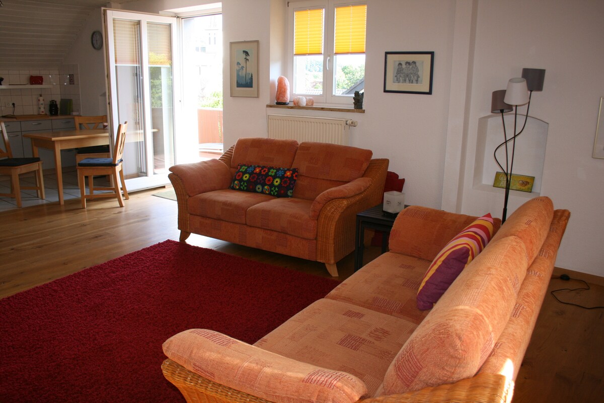 Top Airbnb: Holiday home"lake constance region"FWO-422-2025 a Konstanz