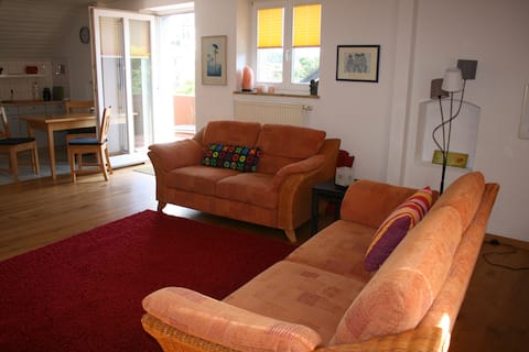 Top Airbnb: Holiday home"lake constance region"FWO-422-2025 in Radolfzell Am Bodensee