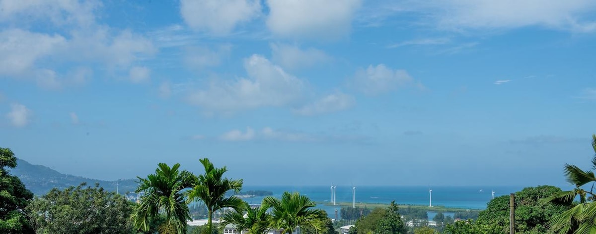 A scenic view overlooks the ocean, with gentle waves and a clear blue sky dotted with clouds. Lush palm trees frame the foreground, while distant wind turbines stand along the horizon, contributing to the serene landscape.