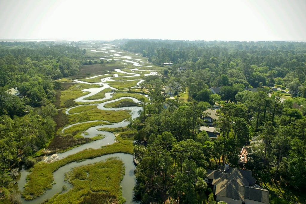 Our neighborhood